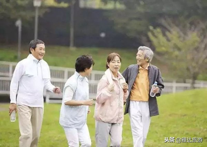 老年旅游团:银发之年的新篇章