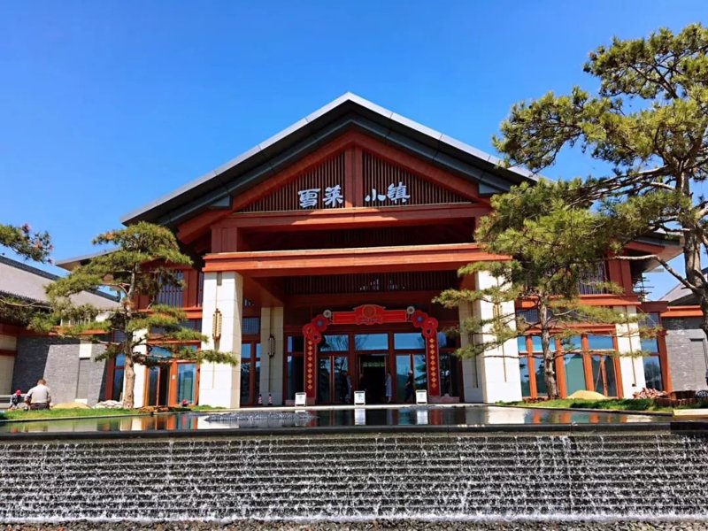 老年旅游团:活力不老,乐在旅途